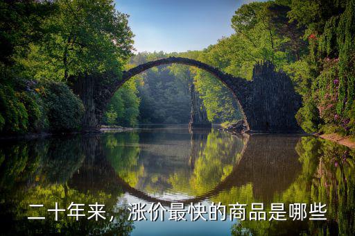 二十年來，漲價最快的商品是哪些