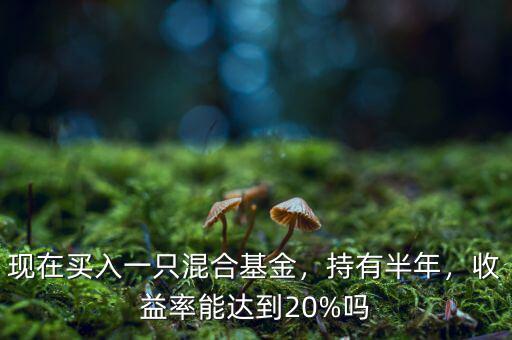 現(xiàn)在買入一只混合基金，持有半年，收益率能達(dá)到20%嗎