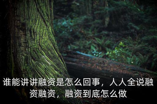 誰能講講融資是怎么回事，人人全說融資融資，融資到底怎么做