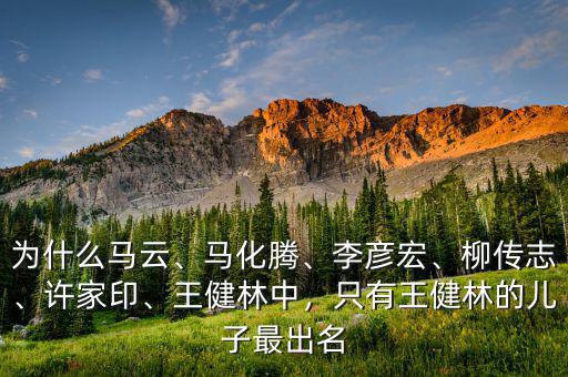 為什么馬云、馬化騰、李彥宏、柳傳志、許家印、王健林中，只有王健林的兒子最出名