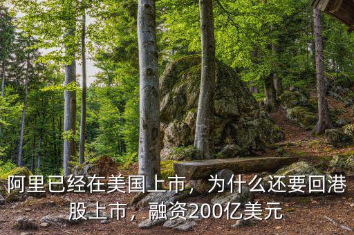 阿里已經在美國上市，為什么還要回港股上市，融資200億美元