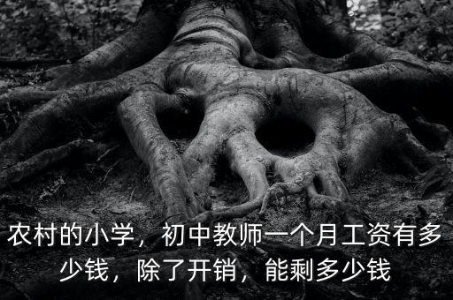 農(nóng)村的小學(xué)，初中教師一個(gè)月工資有多少錢(qián)，除了開(kāi)銷(xiāo)，能剩多少錢(qián)