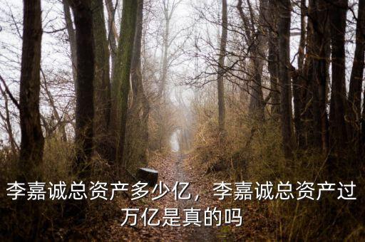李嘉誠總資產(chǎn)多少億，李嘉誠總資產(chǎn)過萬億是真的嗎