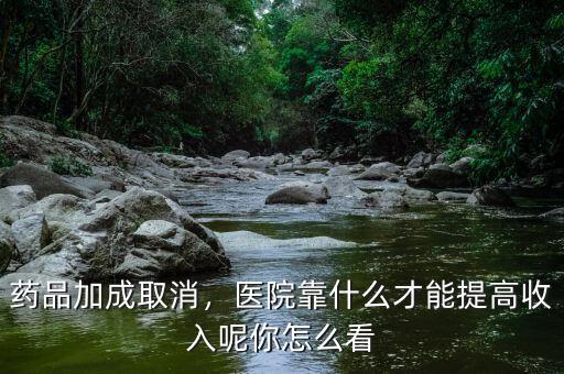 藥品加成取消，醫(yī)院靠什么才能提高收入呢你怎么看
