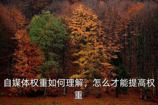 自媒體權(quán)重如何理解，怎么才能提高權(quán)重