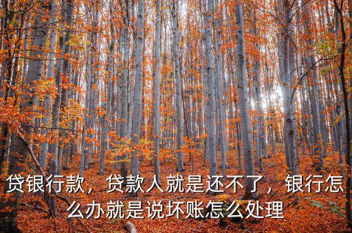 貸銀行款，貸款人就是還不了，銀行怎么辦就是說壞賬怎么處理
