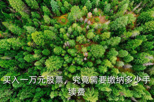 買入一萬元股票，究竟需要繳納多少手續(xù)費