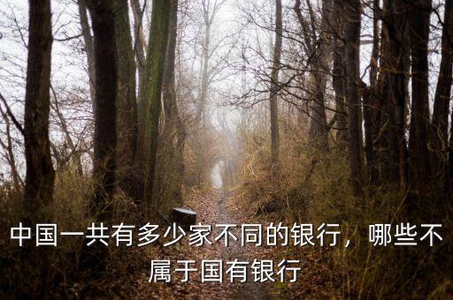中國一共有多少家不同的銀行，哪些不屬于國有銀行