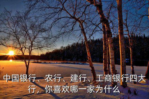 中國(guó)銀行、農(nóng)行、建行、工商銀行四大行，你喜歡哪一家為什么
