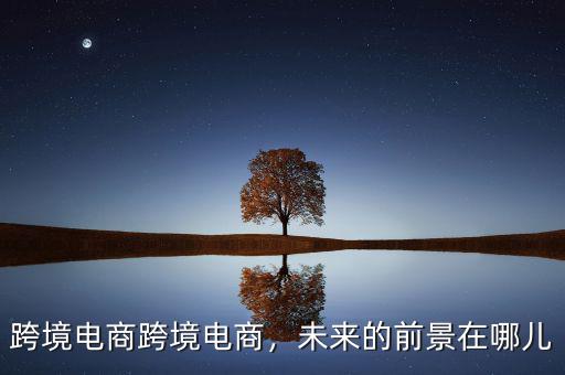 跨境電商跨境電商，未來的前景在哪兒