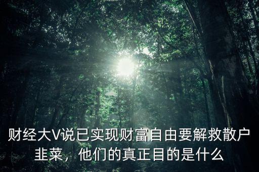 財經(jīng)大V說已實現(xiàn)財富自由要解救散戶韭菜，他們的真正目的是什么