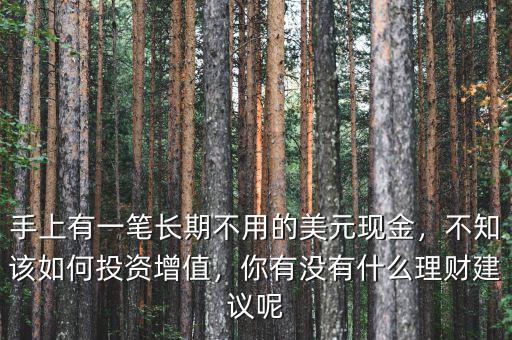 手上有一筆長期不用的美元現(xiàn)金，不知該如何投資增值，你有沒有什么理財建議呢