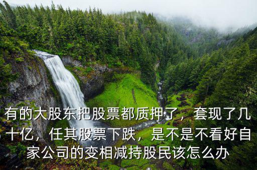 有的大股東把股票都質(zhì)押了，套現(xiàn)了幾十億，任其股票下跌，是不是不看好自家公司的變相減持股民該怎么辦