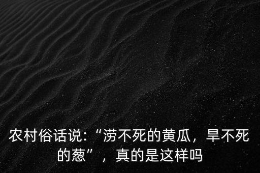 農村俗話說:“澇不死的黃瓜，旱不死的蔥”，真的是這樣嗎