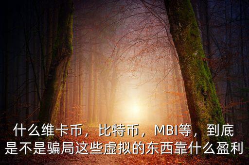 什么維卡幣，比特幣，MBI等，到底是不是騙局這些虛擬的東西靠什么盈利