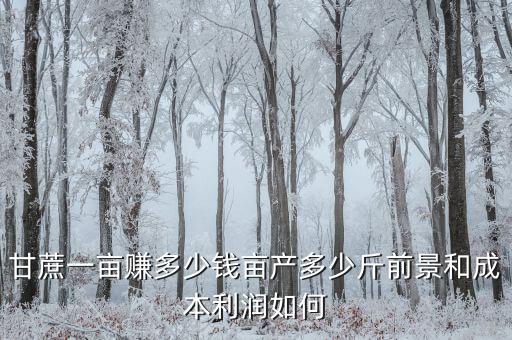 種植甘蔗畝賺多少錢(qián),北方農(nóng)村可以種植甘蔗嗎