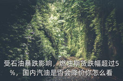 燃油期貨怎么買(mǎi),現(xiàn)在哪里能買(mǎi)期貨原油