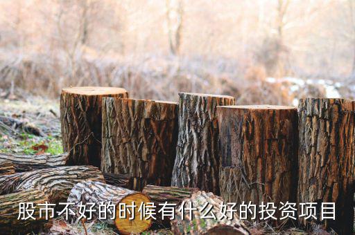 股市不好時(shí)買什么基金,買入分級基金a