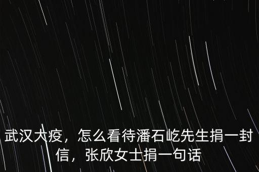 武漢大疫，怎么看待潘石屹先生捐一封信，張欣女士捐一句話