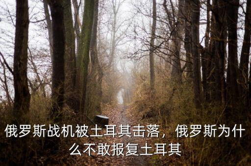 俄羅斯戰(zhàn)機(jī)被土耳其擊落，俄羅斯為什么不敢報(bào)復(fù)土耳其