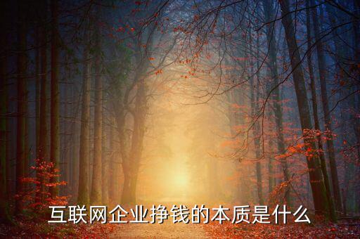 東軟企業(yè)的本質(zhì)是什么,互聯(lián)網(wǎng)企業(yè)掙錢(qián)的本質(zhì)是什么