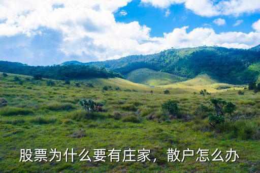 股票為什么要有莊家，散戶怎么辦