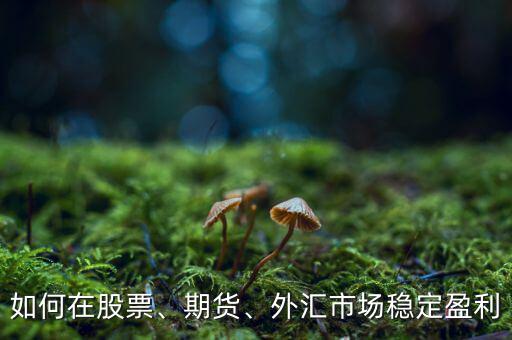 如何在股票、期貨、外匯市場穩(wěn)定盈利