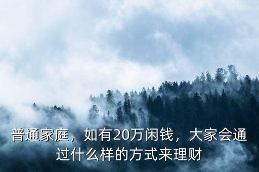 普通家庭，如有20萬(wàn)閑錢(qián)，大家會(huì)通過(guò)什么樣的方式來(lái)理財(cái)