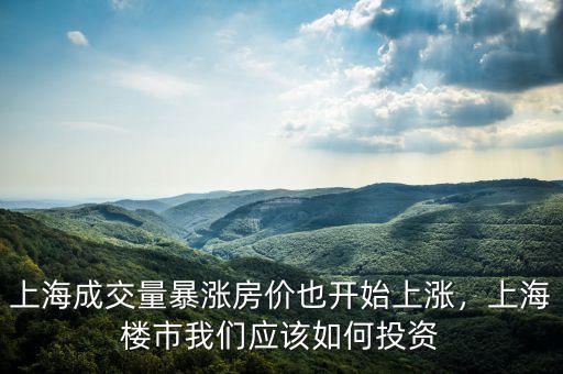 上海成交量暴漲房?jī)r(jià)也開始上漲，上海樓市我們應(yīng)該如何投資