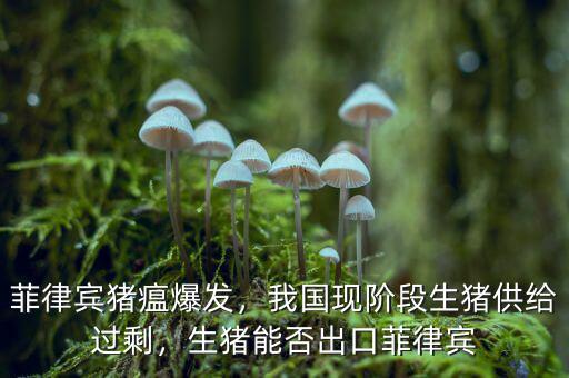 菲律賓豬瘟爆發(fā)，我國(guó)現(xiàn)階段生豬供給過(guò)剩，生豬能否出口菲律賓