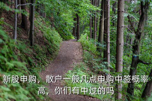 新股申購，散戶一般幾點(diǎn)申購中簽概率高，你們有中過的嗎