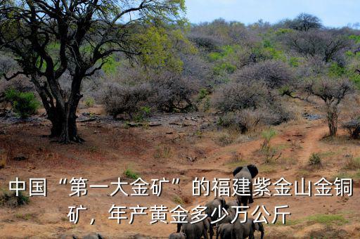中國“第一大金礦”的福建紫金山金銅礦，年產(chǎn)黃金多少萬公斤