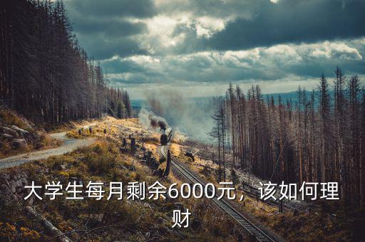 大學(xué)生每月剩余6000元，該如何理財