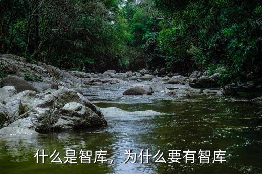 什么是智庫，為什么要有智庫