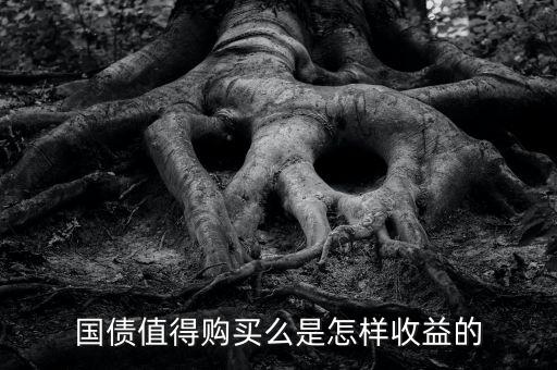 國(guó)債值得購買么是怎樣收益的