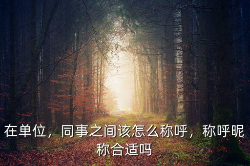 在單位，同事之間該怎么稱呼，稱呼昵稱合適嗎