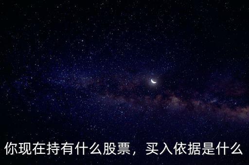 你現(xiàn)在持有什么股票，買入依據(jù)是什么