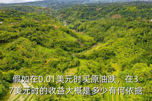 假如在0.01美元時買原油跌，在37美元時的收益大概是多少有何依據(jù)