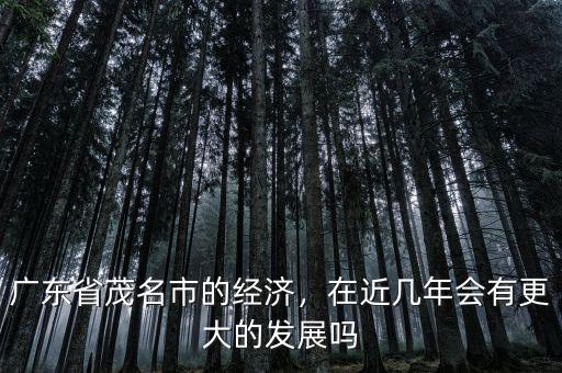 廣東省茂名市的經(jīng)濟(jì)，在近幾年會(huì)有更大的發(fā)展嗎