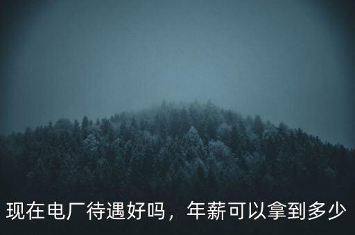 現(xiàn)在電廠待遇好嗎，年薪可以拿到多少