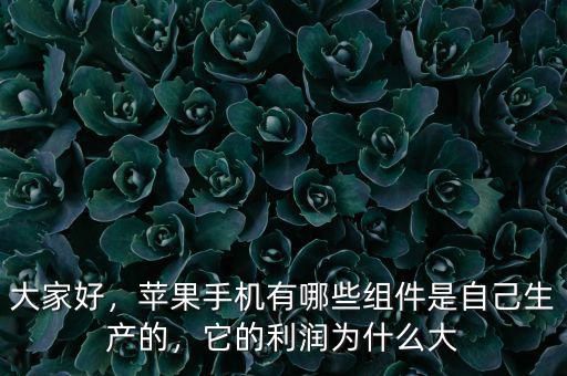 大家好，蘋果手機(jī)有哪些組件是自己生產(chǎn)的，它的利潤(rùn)為什么大