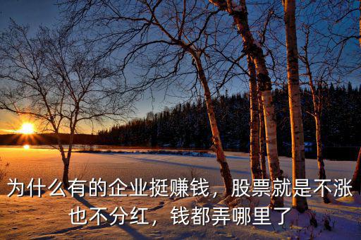 為什么有的企業(yè)挺賺錢，股票就是不漲也不分紅，錢都弄哪里了