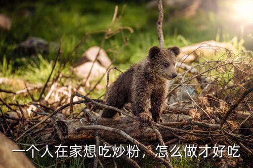 一個(gè)人在家想吃炒粉，怎么做才好吃
