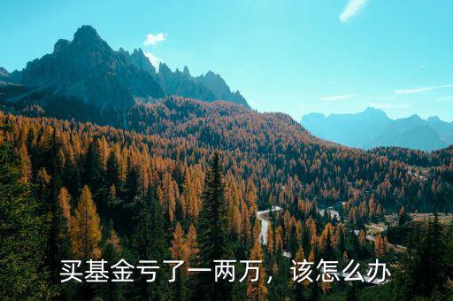 買基金虧了一兩萬，該怎么辦