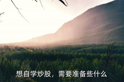 想自學(xué)炒股，需要準(zhǔn)備些什么