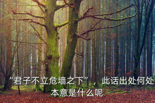“君子不立危墻之下”，此話出處何處本意是什么呢