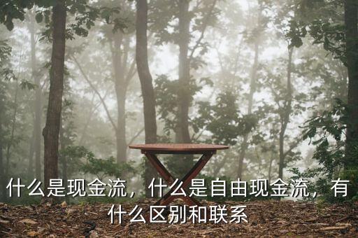 什么是現(xiàn)金流，什么是自由現(xiàn)金流，有什么區(qū)別和聯(lián)系
