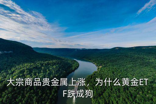 大宗商品貴金屬上漲，為什么黃金ETF跌成狗