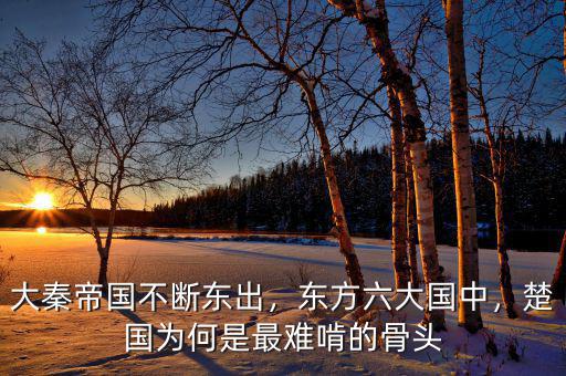 大秦帝國不斷東出，東方六大國中，楚國為何是最難啃的骨頭