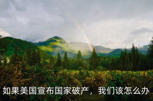 如果美國宣布國家破產，我們該怎么辦